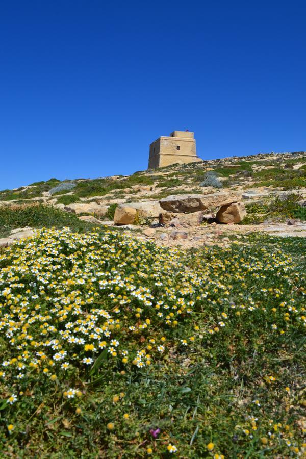 Taljola B&B Għarb Εξωτερικό φωτογραφία